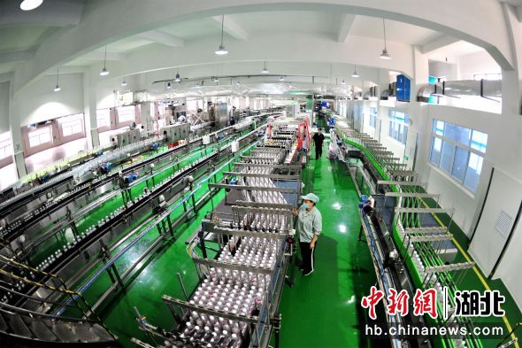 中新网湖北